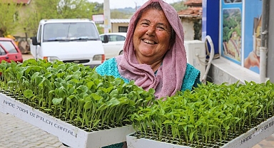 Buca’da Belediye-Kooperatif işbirliği, tarımı canlandırdı