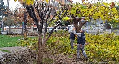 Burhaniye Merkezde Parklar Yenileniyor