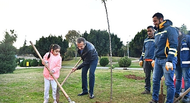 Çukurova’da turunç seferberliği