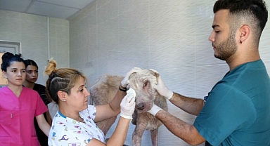 Karşıyaka’da Günde 150 Caz Dosta Şifa