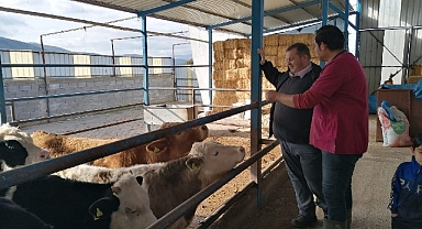 Muğla Büyükşehir Çiftçi Eğitimlerine Devam Ediyor