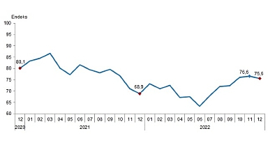 Tüketici güven endeksi 75,6 oldu