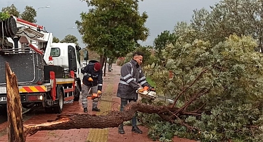Antalya Büyükşehir'den olumsuzluklara hızlı müdahale