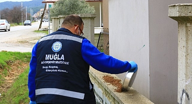 Büyükşehir candostlar için mama üretimine devam ediyor