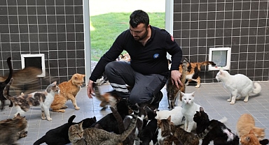 Can dostlar yeni yuvalarına kavuştu