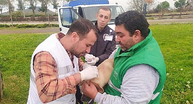 Canik Belediyesi Can Dostların Her Zaman Yanında