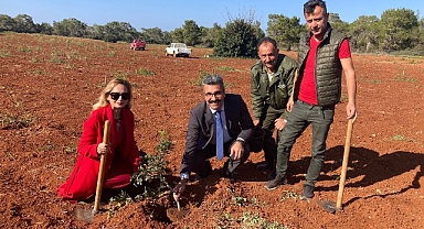 Çeşme Sakızının Kıbrıs’a Yolculuğu