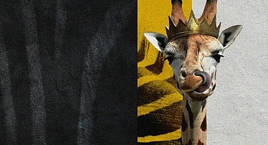 “Disney’in Sihirli Hayvan Krallığı” National Geographic WILD’da