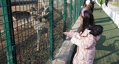 Doğal Yaşam Parkı İlgiden Memnun