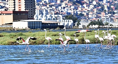Flamingo Yolu turu 4 binin üzerinde ziyaretçi ağırladı