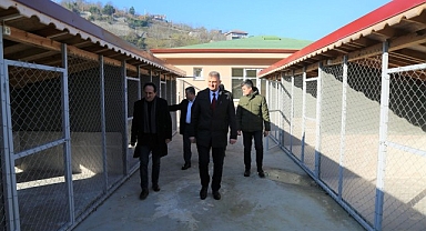 Gölcük Sokak Hayvanları Rehabilitasyon Merkezi İnşaatı Tamamlandı