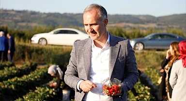 İnegöl Tarımı Şahlanıyor