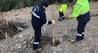 Karamürsel Dereköy'e 1000 ağaç fidanı dikilecek