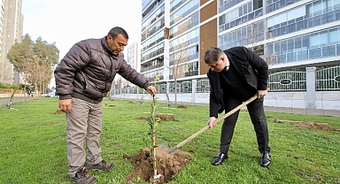 Karşıyaka Meyve Bahçeleriyle Donatılacak