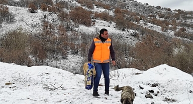 Keçiören’de Karla Mücadele