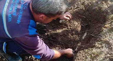 Marmaris ve Milas’ta su gözleri temizlendi