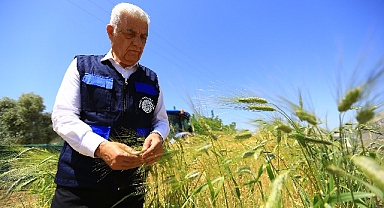 Muğla Büyükşehir’den Tarım ve Hayvancılığa Büyük Destek