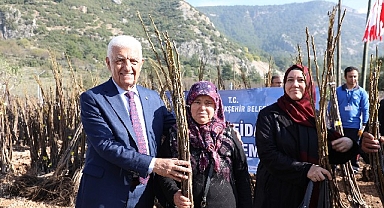 Muğla Büyükşehir Meyve Fidanı Desteğine Başlıyor