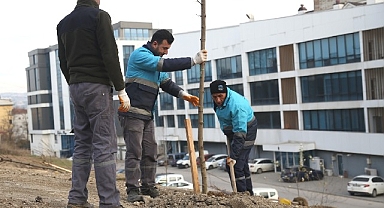 Nilüfer’de ağaçlandırma çalışmaları başladı