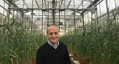 Sabancı Üniversitesi Öğretim Üyesi Prof. Dr. İsmail Çakmak Dünyanın En Etkili Bilim İnsanları Listesinde Türkiye’den Birinci Sırada