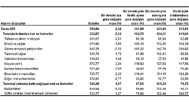 Tarımsal girdi fiyat endeksi (Tarım-GFE) yıllık %121,49, aylık %2,38 arttı