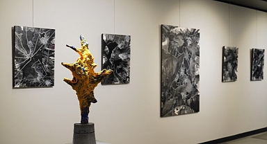 Yeni Yılın İlk Sanat Sergisi