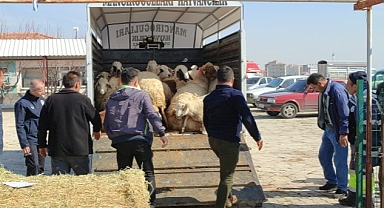 Çumra'dan Deprem Bölgesine Küçükbaş Hayvan Desteği
