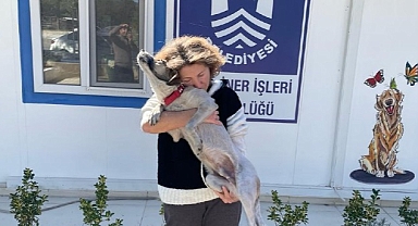 Depremden Kurtulan Ege’nin Hayvan Sevgesi