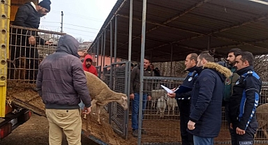 Hayvan Satış Yeri'nde Denetim Gerçekleştirildi