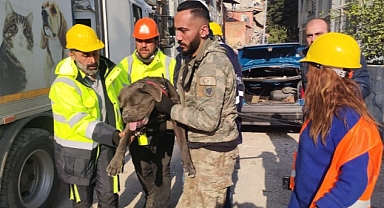 İzmir Büyükşehir Belediyesi depremden etkilenen hayvanları unutmadı