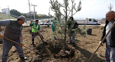 Akhisar’da 64 Fidan Toprakla Buluştu