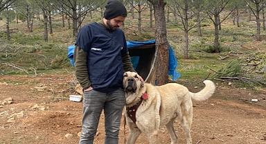 Antalya Büyükşehir Belediyesi veterinerleri Gaziantep'te