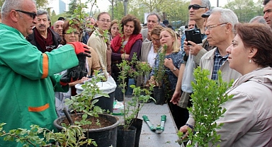 Bahçıvanlık Eğitimleri İçin Başvurular Başlıyor