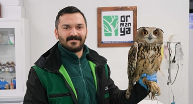 Binlerce yaban hayvanı hayata döndürüldü
