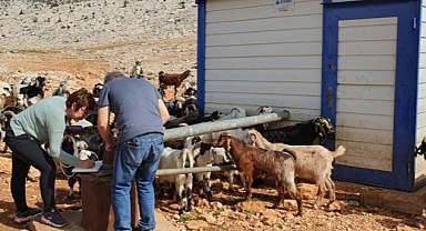 DEÜ Ekipleri, Deprem Atıklarının Bertarafı İçin Çalışıyor