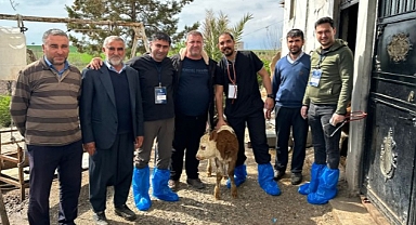 DEÜ’lü Uzmanlardan Deprem Bölgesinde Şap Virüsü Uyarıları