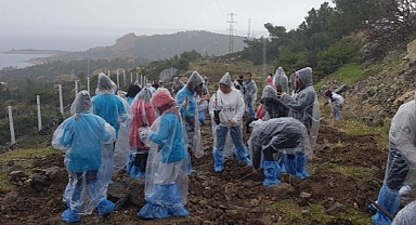 Foça'da Orman Haftası Kutlama ve Fidan Dikim Etkinliği