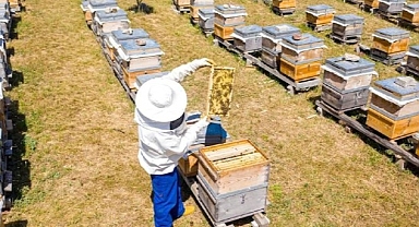 İnegöl Belediyesi 250 Adet Arı Kovanı Dağıtacak
