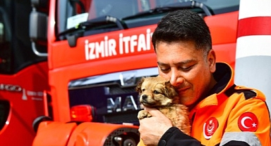 İzmirli itfaiyeci deprem bölgesinden gelen köpeğe yuvasını açtı