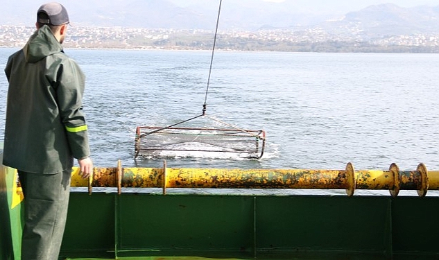 İzmit Körfezi'nde deniz yaşamı kayıt altında