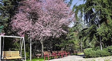 Keçiören’e Bahar Geldi