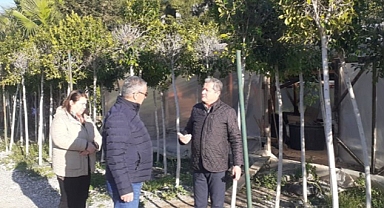 Kemer’in çiçekleri sezona hazır