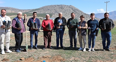 Korkuteli'de antepfıstığı yetiştiriciliği yapılacak