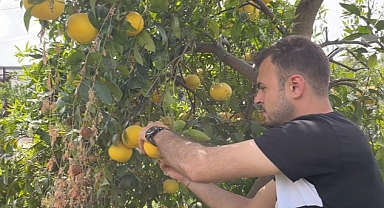 Küçükçekmece Belediyesi'nden Hatay'daki Üreticilere Destek!