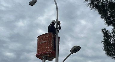 Leylek ve kuşların uğrak noktası olan sokak lambaları ve elektrik direkleri, UEDAŞ sayesinde birer yuvaya dönüşüyor