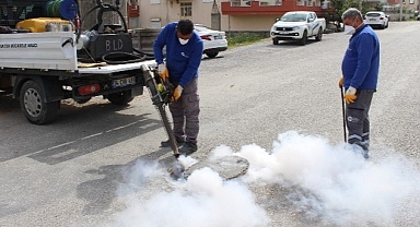 Sineksiz yaz için yoğun mücadele