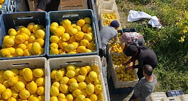 ŞOK Marketler deprem bölgesinde tarımı ve çiftçiyi destekliyor
