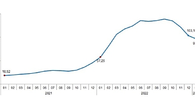 Tarımsal girdi fiyat endeksi (Tarım-GFE) yıllık %95,99, aylık %6,24 arttı