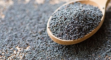 Türkiye’nin gıda koridoru kapanmasın