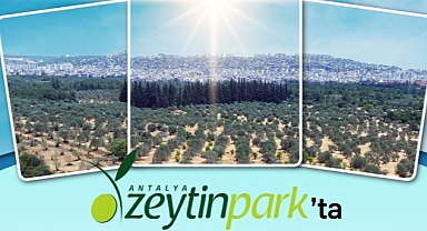 Zeytinpark'ta Hareket Var!